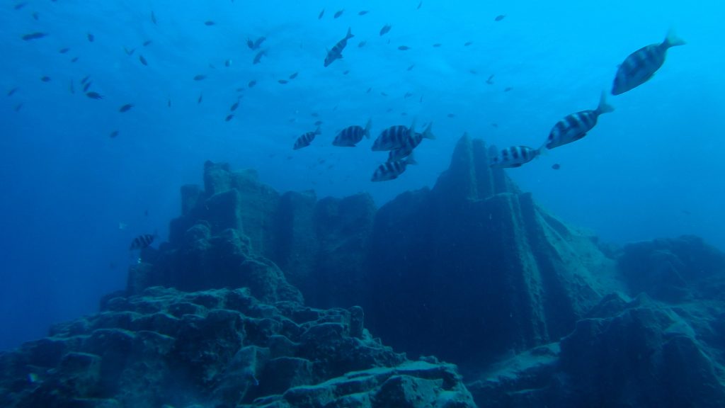 Les fonds sous-marins Tenerife