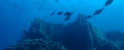 Les fonds sous-marins Tenerife