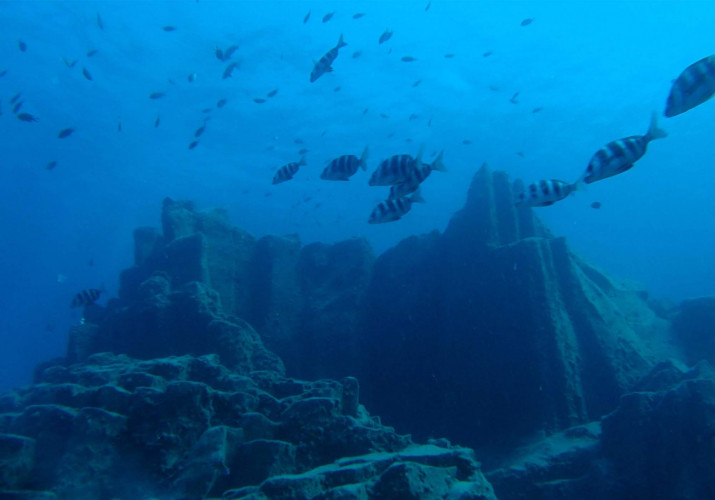 The underwater Tenerife